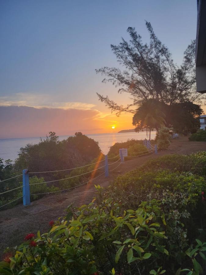 Munzels Boho Beach Retreat Apartment Ocho Rios Exterior photo