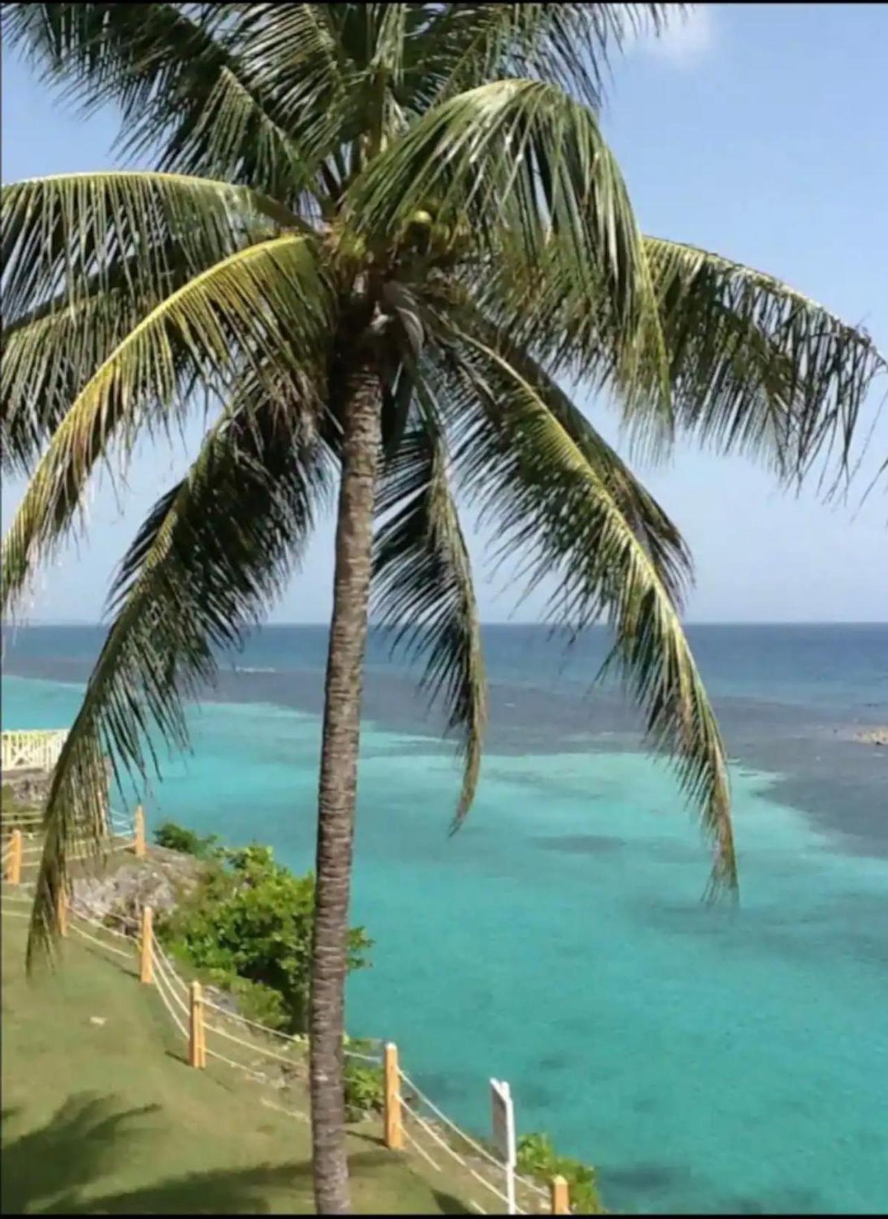 Munzels Boho Beach Retreat Apartment Ocho Rios Exterior photo